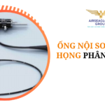 thu tuc nhap khau ong noi soi tai mui hong