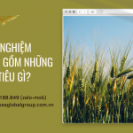 giấy phép nhập khẩu theo tt30 (7)