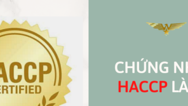 CHỨNG NHẬN HACCP TRỌN GÓI