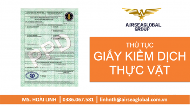Giay kiem dich thuc vat