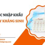 ĐĨA GIẤY KHÁNG SINH