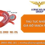 THỦ TỤC NHẬP KHẨU GIÁ ĐỠ MẠCH MÁU NÃO