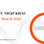 THỦ TỤC NHẬP KHẨU GIÁ ĐỠ MẠCH MÁU NÃO