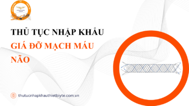 THỦ TỤC NHẬP KHẨU GIÁ ĐỠ MẠCH MÁU NÃO
