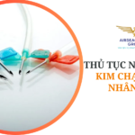 thu tuc nhap khau kim chay than nhan tao