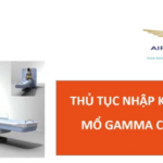 thu tuc nhap khau dao mo gamma