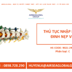 ĐINH NẸP VÍT