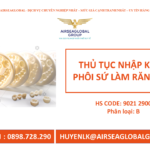 phôi sứ