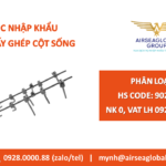 cấy ghép cột sống