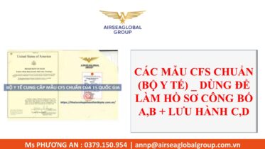 mẫu CFS