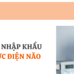 thu tuc nhap khau dien cuc dien nao
