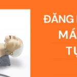 thu tuc nhap khau may ep tim tu dong