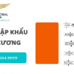 thu tuc nhap khau nep vit xuong