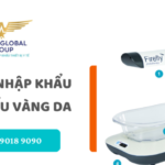 thu tuc nhap khau den chieu vang da