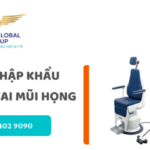 thu tuc nhap khau ghe kham tai mui hong